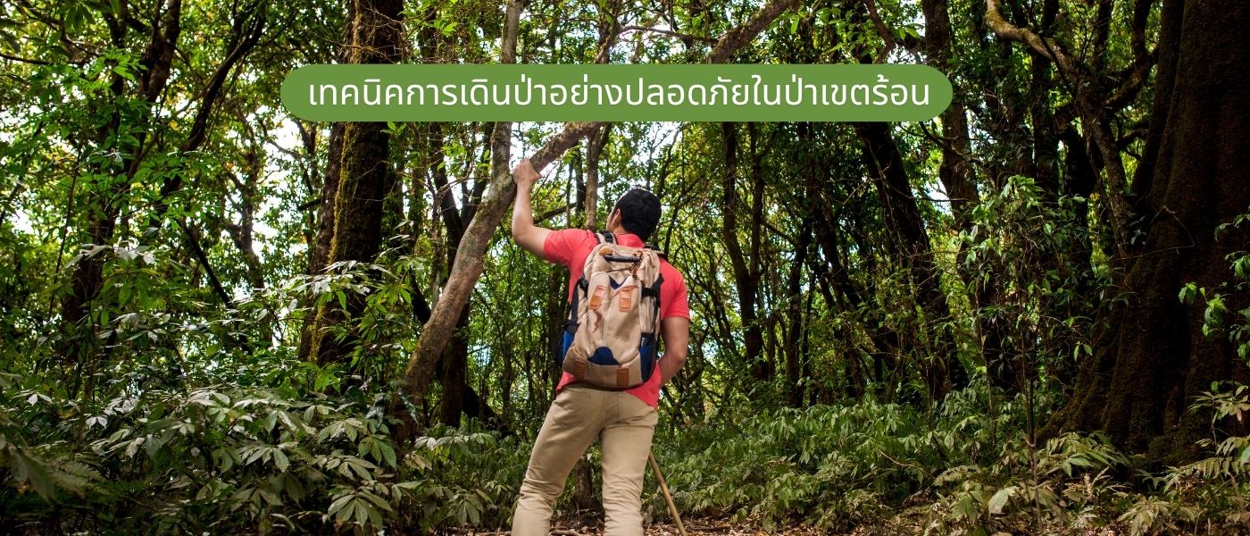 เทคนิคการเดินป่าอย่างปลอดภัยในป่าเขตร้อน